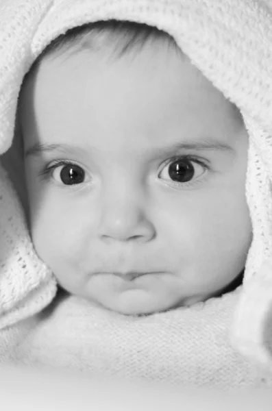 Baby Portrait Stok Fotoğraf