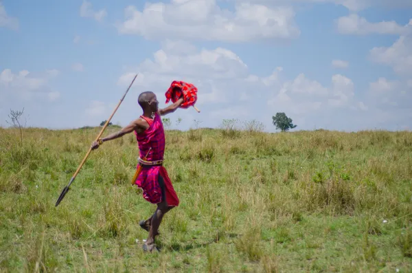 Spear throwing Maasai Man — Stock Photo, Image