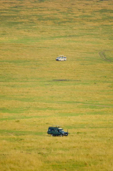 4x4 auf Safari Stockbild