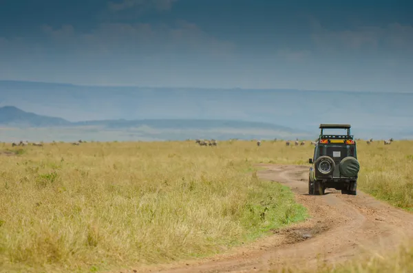 4x4 auf Safari Stockfoto