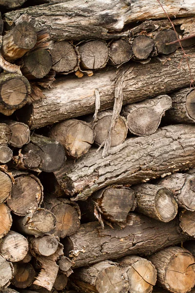 Brennholz im Winter — Stockfoto