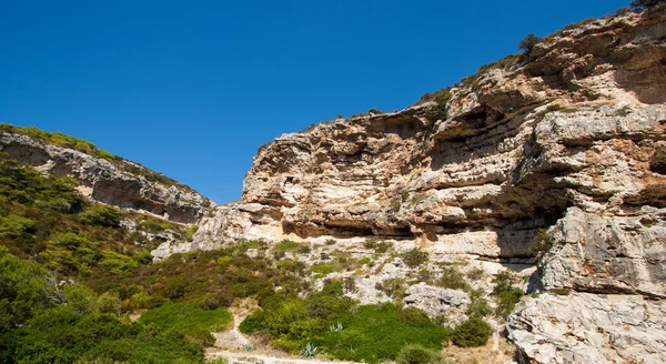 Rocky scrubby landscape — Stock Photo, Image