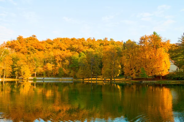 秋天的风景 — 图库照片