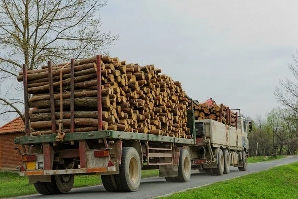 Caminhão de madeira transportando — Fotografia de Stock