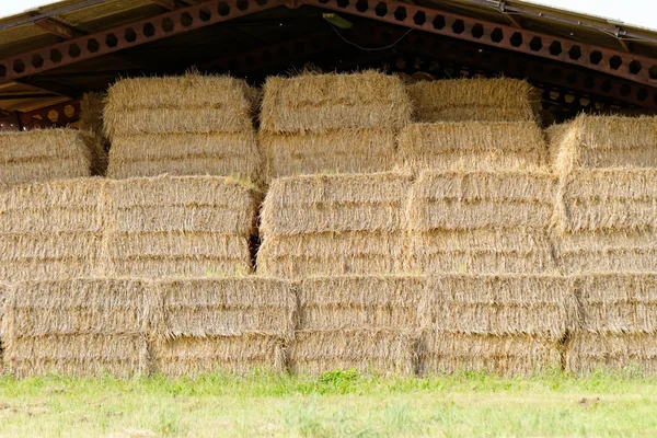 짚으로 bales 지붕 아래 — 스톡 사진