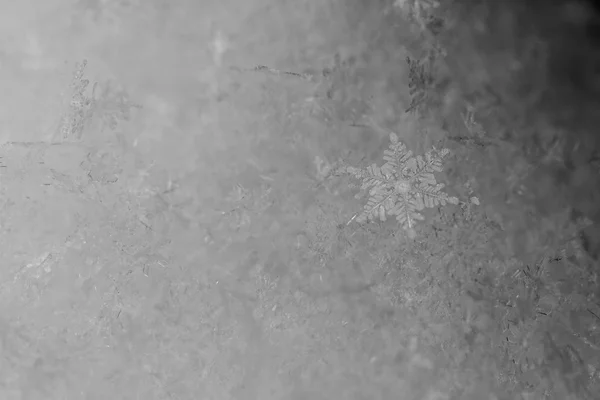 Cristales de copo de nieve blanco belleza — Foto de Stock