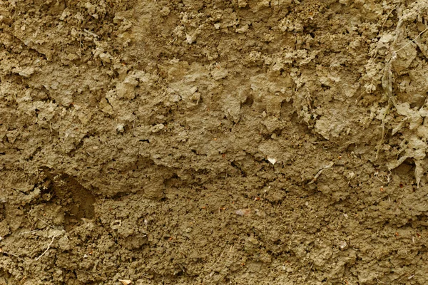 泥のテクスチャ — ストック写真