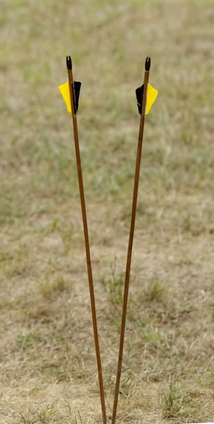 Arrows in nature — Stock Photo, Image
