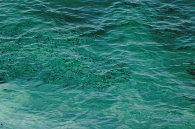 mermer kumsal - thassos Makryammos