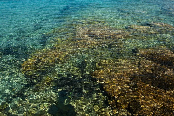 Zeegezicht - Kroatië eiland vis — Stockfoto