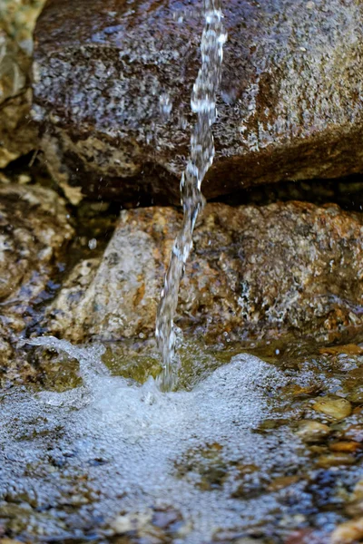 Zdroj doménové struktury — Stock fotografie