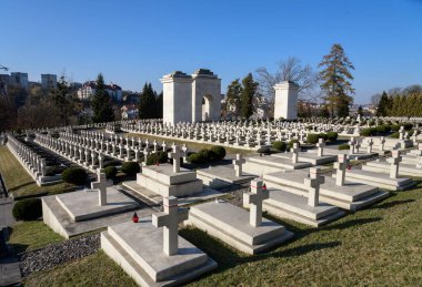 LVIV, UKRAINE - NOVEMBER 1, 2021: Batı Ukrayna şehri Lviv 'deki Lychakiv Mezarlığı' nda Polonya askeri mezarlığına (Cmentip Orlat) bakınız