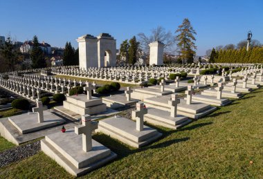 LVIV, UKRAINE - NOVEMBER 1, 2021: Batı Ukrayna şehri Lviv 'deki Lychakiv Mezarlığı' nda Polonya askeri mezarlığına (Cmentip Orlat) bakınız