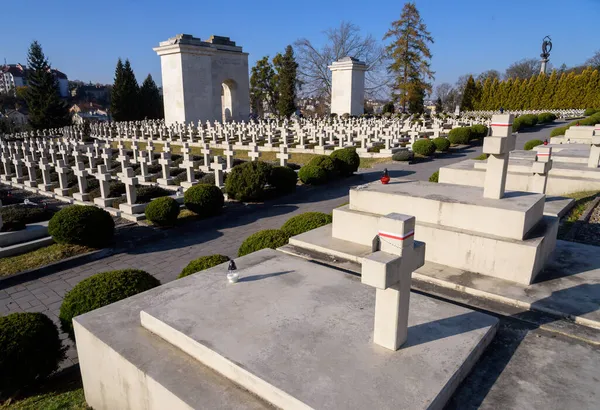 LVIV, UKRAINE - NOVEMBER 1, 2021: Batı Ukrayna şehri Lviv 'deki Lychakiv Mezarlığı' nda Polonya askeri mezarlığına (Cmentip Orlat) bakınız