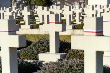 LVIV, UKRAINE - NOVEMBER 1, 2021: Batı Ukrayna şehri Lviv 'deki Lychakiv Mezarlığı' nda Polonya askeri mezarlığına (Cmentip Orlat) bakınız