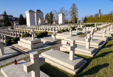 LVIV, UKRAINE - NOVEMBER 1, 2021: Batı Ukrayna şehri Lviv 'deki Lychakiv Mezarlığı' nda Polonya askeri mezarlığına (Cmentip Orlat) bakınız