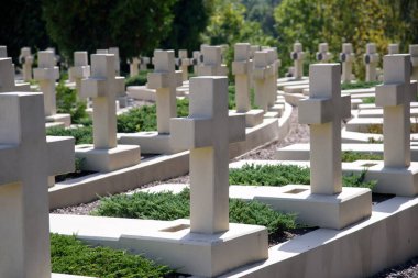 Lviv, Ukrayna - 07 Eylül 2021: Batı Ukrayna 'daki Lychakiv Mezarlığı' ndaki Polonya askeri mezarlığına (Cmentip Orlat) bakış