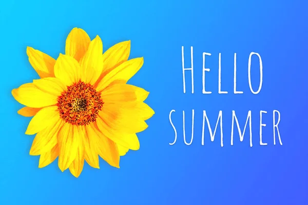 Illustration på temat sommar med en solros — Stockfoto