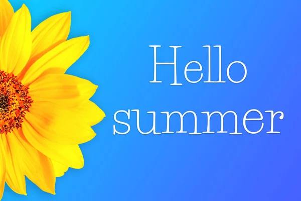 Illustration på temat sommar med en solros — Stockfoto