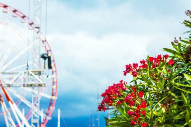 Bulutlu bir günde lunaparkta