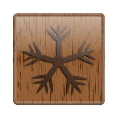 ahşap parlak simgesi