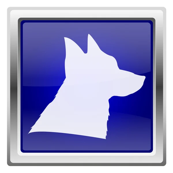 Blue shiny icon — Stock Photo, Image