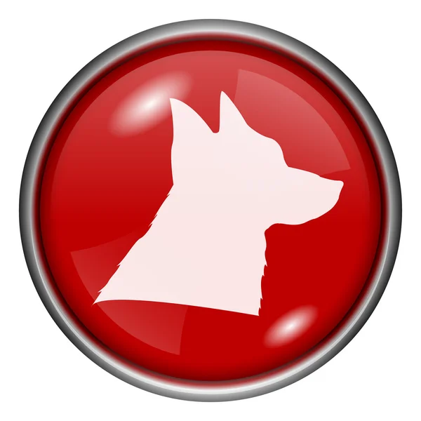 Red round glossy icon — Stock Photo, Image