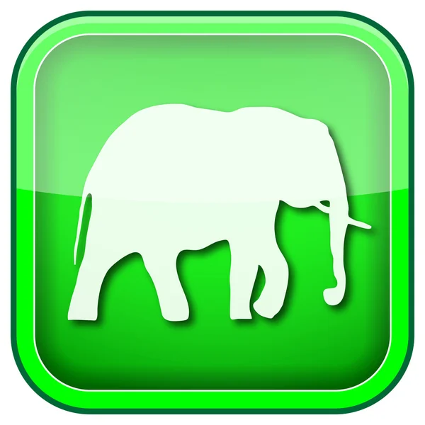 Zelená ikona náměstí lesklý — Stock fotografie