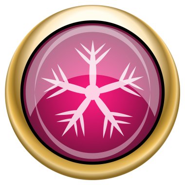 kırmızı parlak simgesi