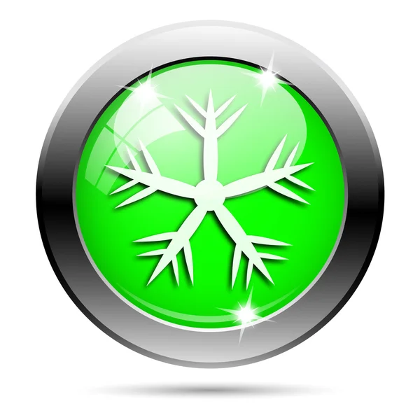 Металлический зелёный глянцевый значок — стоковое фото