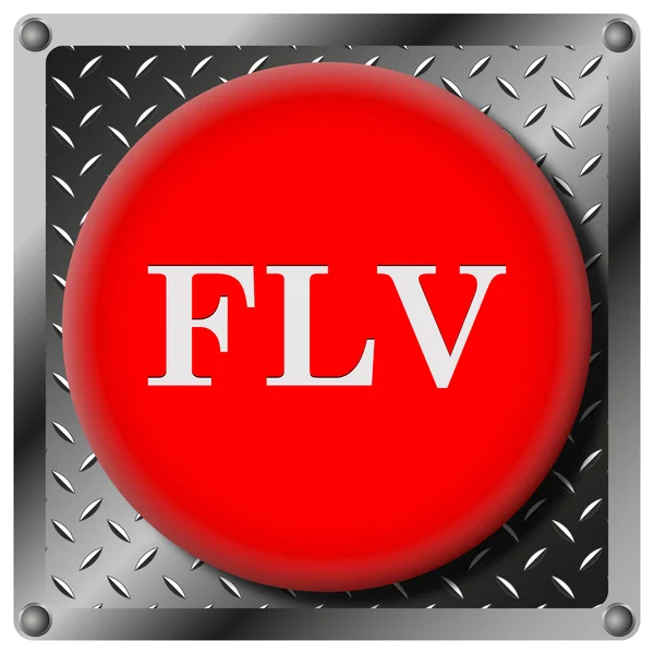 FLV metallic icon — Stock Photo, Image