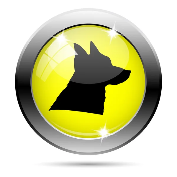 Köpek simgesi — Stok fotoğraf