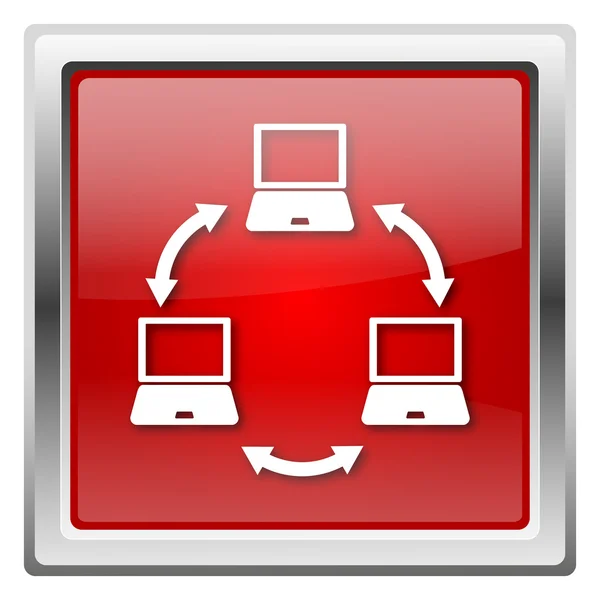 コンピューターのネットワークのアイコン — ストック写真