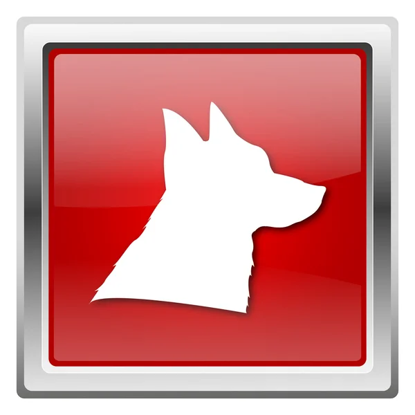 Собачья икона — стоковое фото