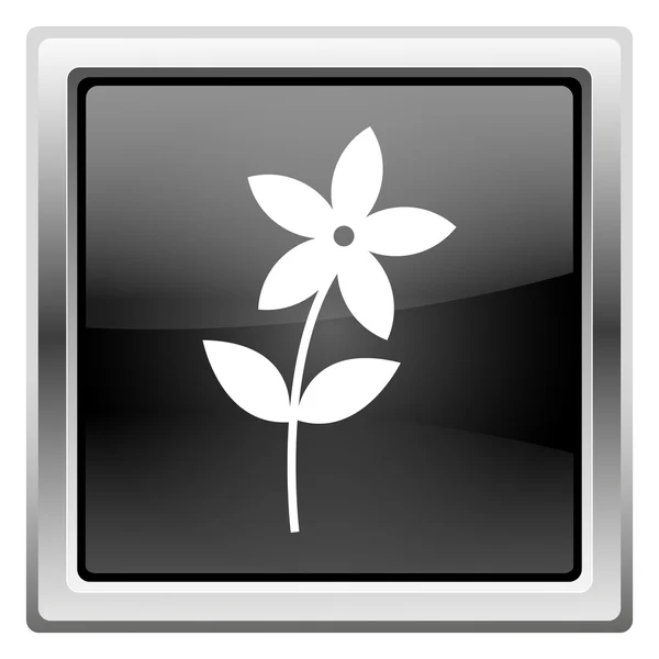 Icono de flor — Foto de Stock