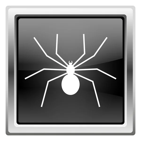 거미 아이콘 — 스톡 사진
