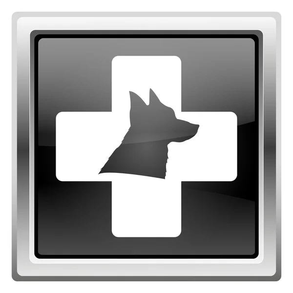 Veterinary icon — Stock Photo, Image