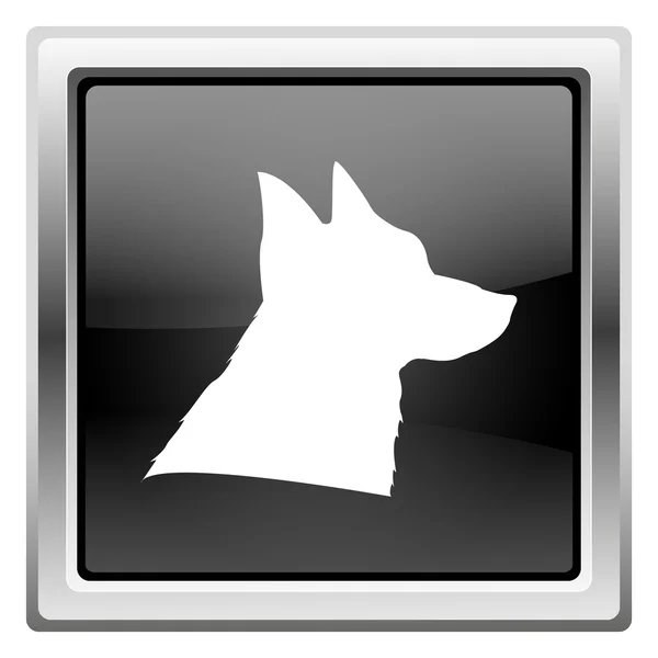 Dog icon — Stock Photo, Image