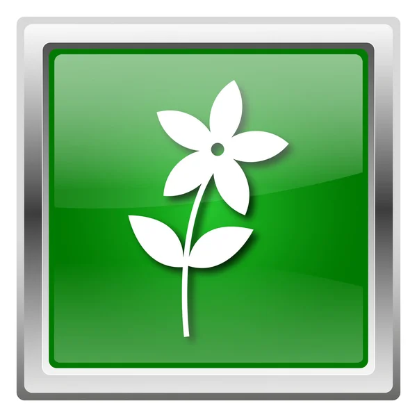 Flower icon — Stock Photo, Image