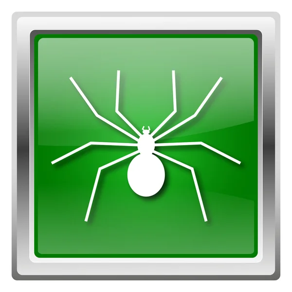 Spider icon — Stock Photo, Image