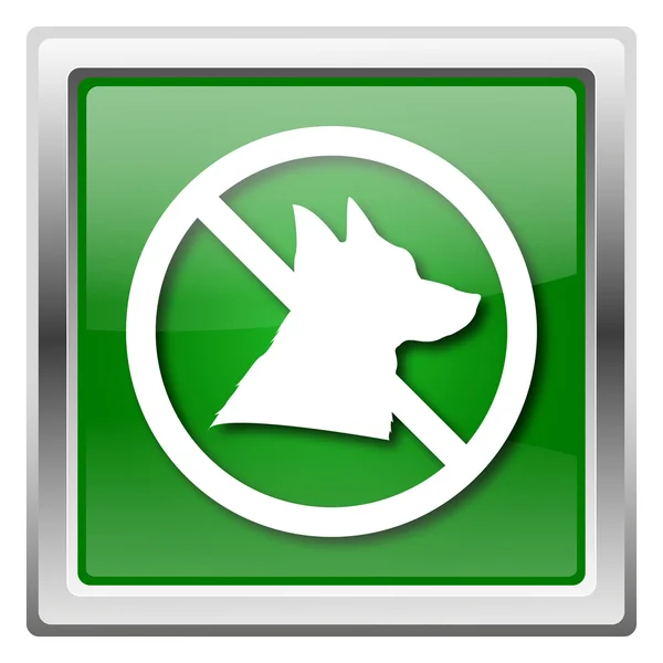 Cães proibidos ícone — Fotografia de Stock