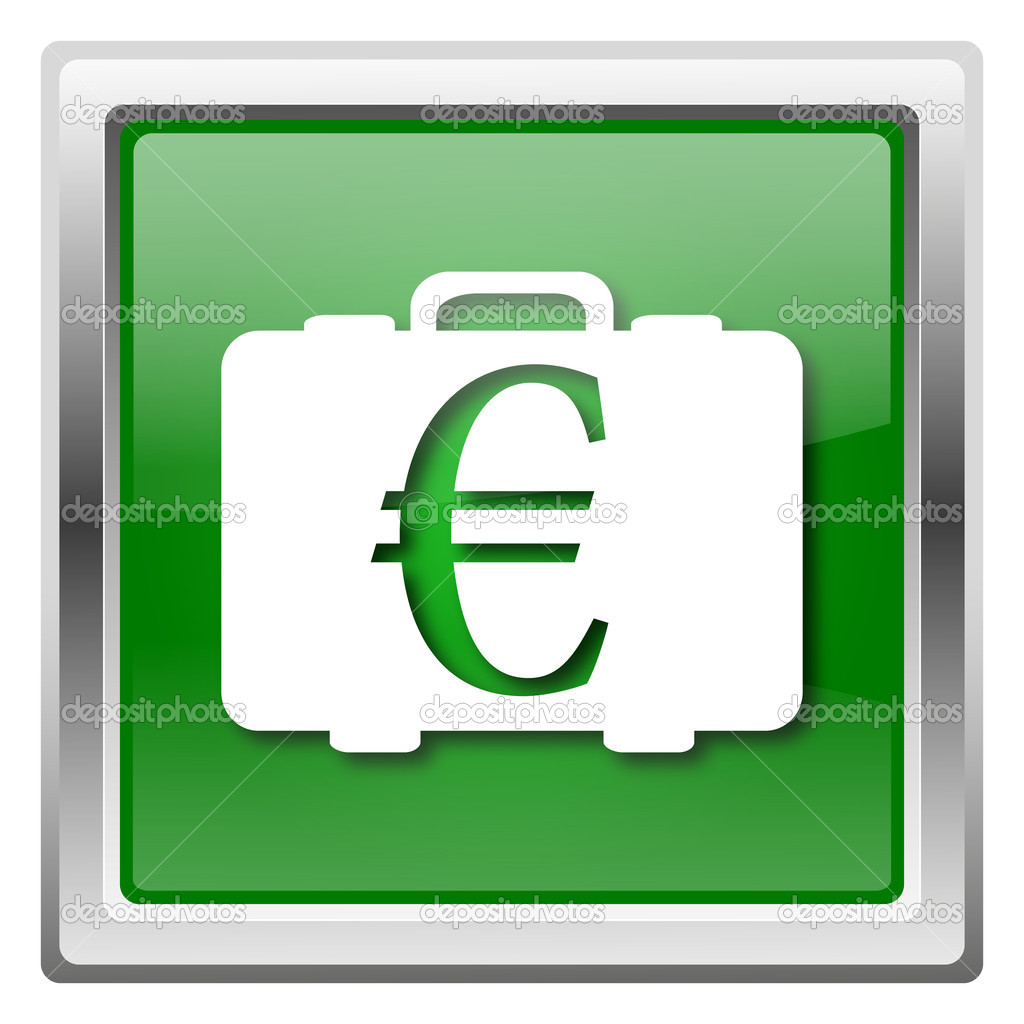 Euro bag icon