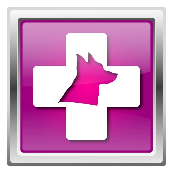 Veterinary icon — Stock Photo, Image