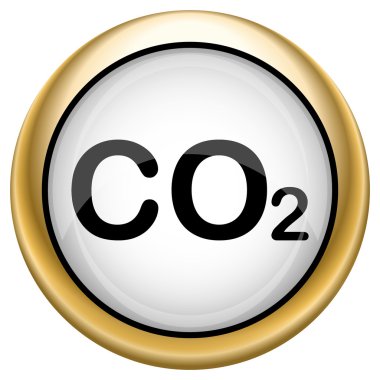 CO2 simgesi
