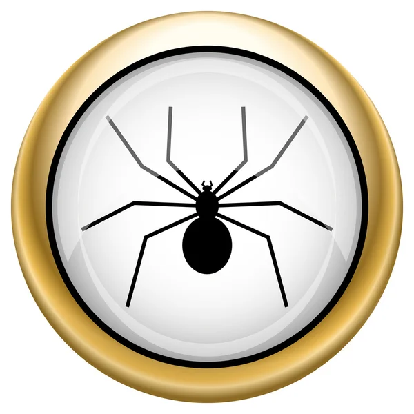 Icono de araña — Foto de Stock