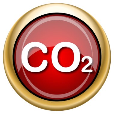 CO2 simgesi