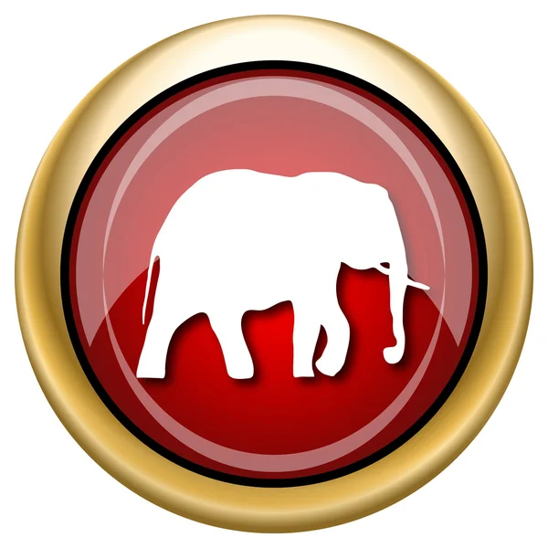 Elefante icono — Foto de Stock