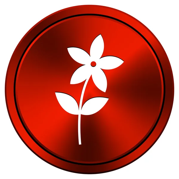 Blumen-Ikone — Stockfoto