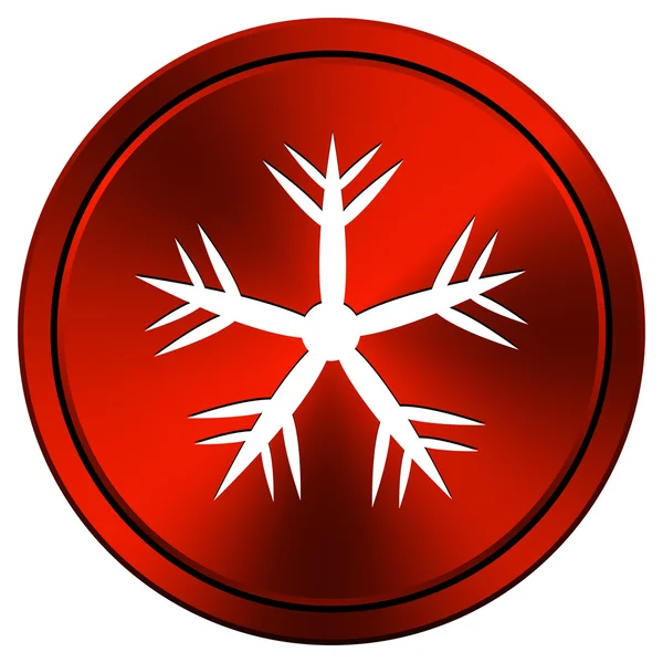 Snöflinga-ikonen — Stockfoto