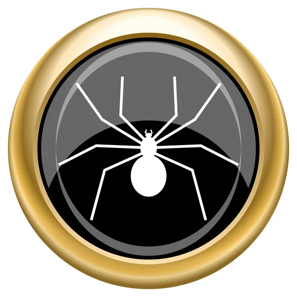 Spider icon — Stock Photo, Image